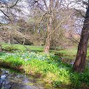 ���� Lana, ������, 54 ���� - ��������� 1 ������ 2017 � ������ �Timeline Photos�