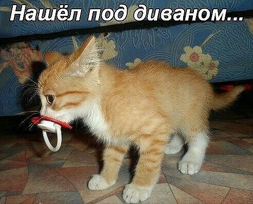 ☆ ☆ - 11  2016  03:05