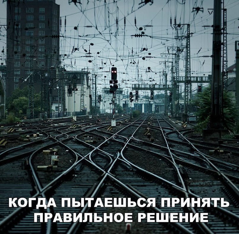 LIFE -  - 2  2017  10:29