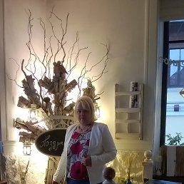 ����, �����������, 61 ���