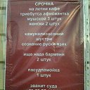 ���� ���������, �����, 49 ��� - ��������� 12 ������ 2016 � ������ ������ ��������