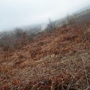  ,  -  15  2017              70     ӻ