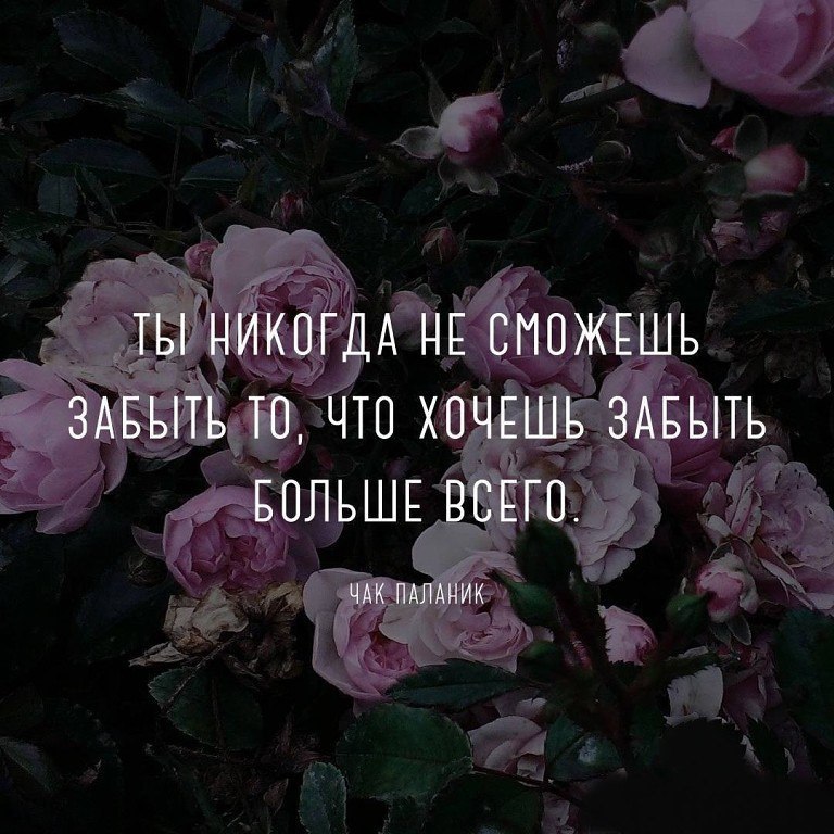 ,   ,    - 27  2017  06:55
