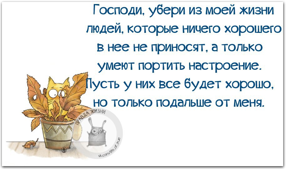   - 11  2016  00:30