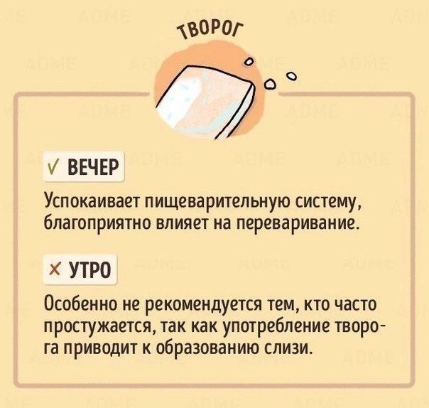  .       -  .     ... - 8