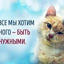 ���� ��������, ������, 73 ���� - ��������� 28 ����� 2017 � ������ ���� ����������