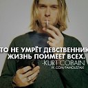 ���� ������, ����, 41 ��� - ��������� 10 ������� 2016 � ������ ������ ��������