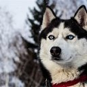 ���� ����, ���������, 27 ��� - ��������� 4 ������� 2017