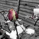  Sebastian, , 54  -  20  2017   