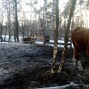 ��� �������� �� ������� ���� ����������