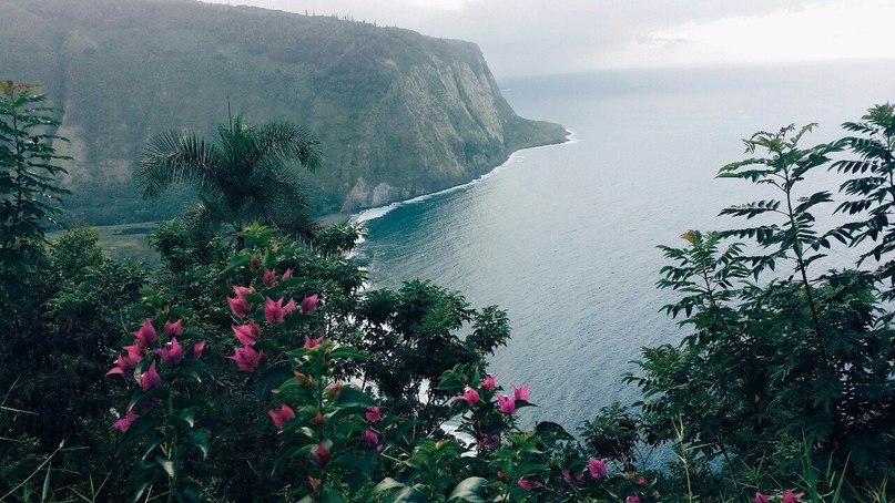 Waipi'o Valley, 