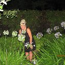 ���� ���������, ��������, 63 ���� - ��������� 30 ������ 2016 � ������ ���� ����������