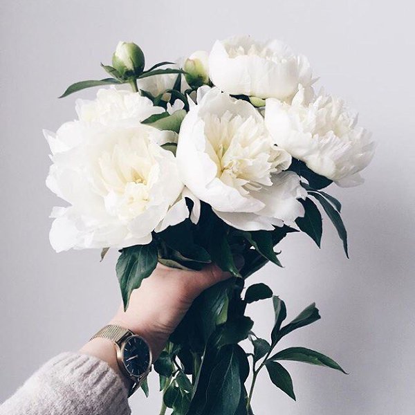 ����� ������� - 31 ������ 2017 � 01:07 - 2