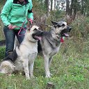 ���� ��������, ��������, 54 ���� - ��������� 4 ������� 2016 � ������ ���� ����������