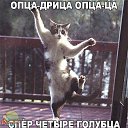 ���� ������, ���������, 64 ���� - ��������� 1 ����� 2017 � ������ ������� ���.�
