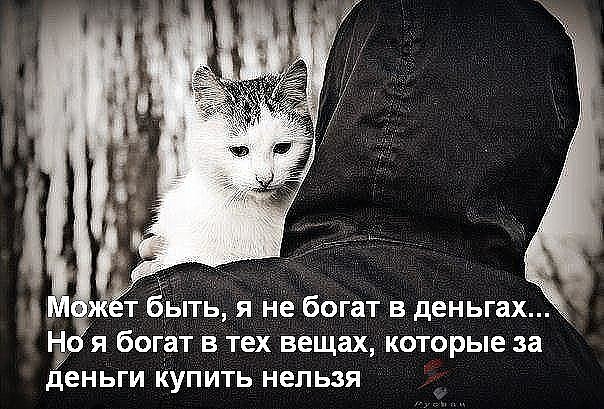 .https://fotostrana.ru/away?to=/sl/kxC2 - 20  2016  18:53