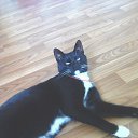 ���� // I., ����� - ��������� 1 ������� 2016 � ������ ���� ����������