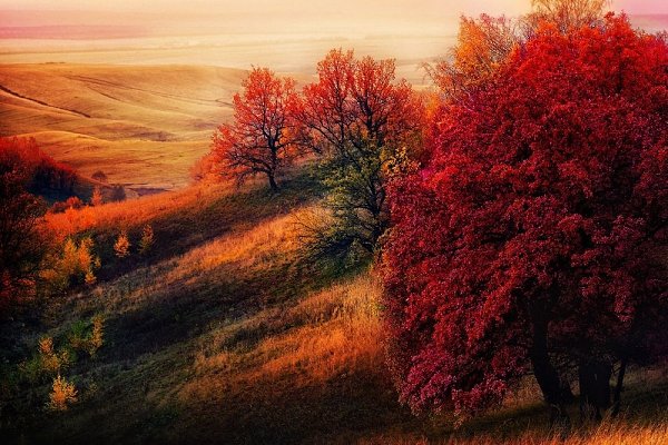 ))).Однажды Всё изменится... Смотри, что получается: почти всякий человек, кого не возьми, не ...