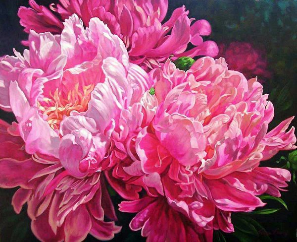    Fiona Craig - 9