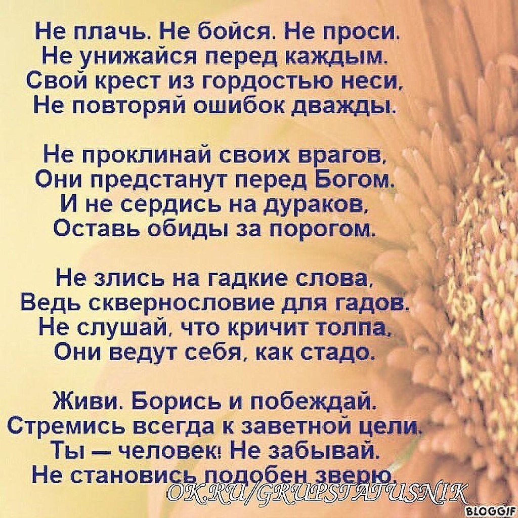   - 14  2017  14:14