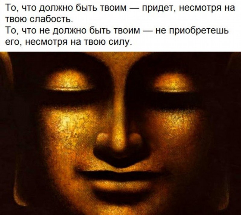 .https://fotostrana.ru/away?to=/sl/kxC2 - 24  2017  09:52