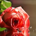 ���� ����, ������������, 58 ��� - ��������� 14 ������� 2017 � ������ ������ ��������