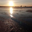 ���� Jyri, ������, 55 ��� - ��������� 29 ������ 2016 � ������ ������ ��������