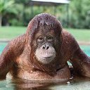 ���� ������, ������ - ��������� 5 ������� 2016 � ������ ������