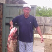 ������, 52 ����, ���������