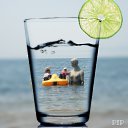 ���� Svet, ����������� - ��������� 6 ������� 2017