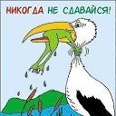 ���� Alexei, ������, 50 ��� - ��������� 21 ������ 2017 � ������ ������ ��������