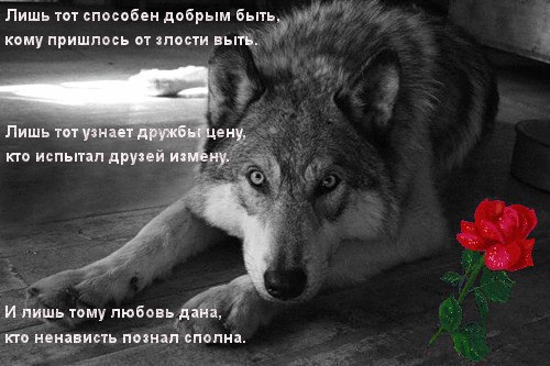 ~Dasha~ - 18  2016  16:31