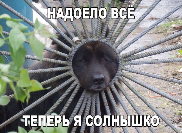    :D - 30  2016  19:36