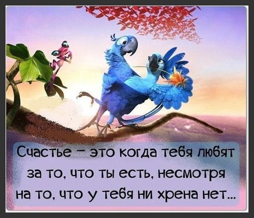  - 12  2017  12:37