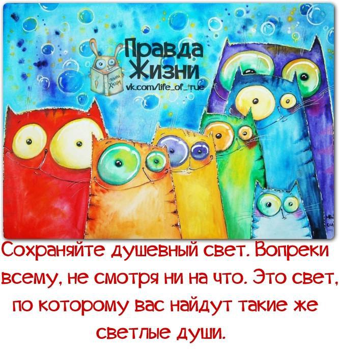  - 15  2016  12:45