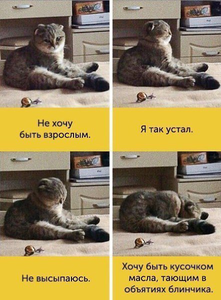  , ! ;)