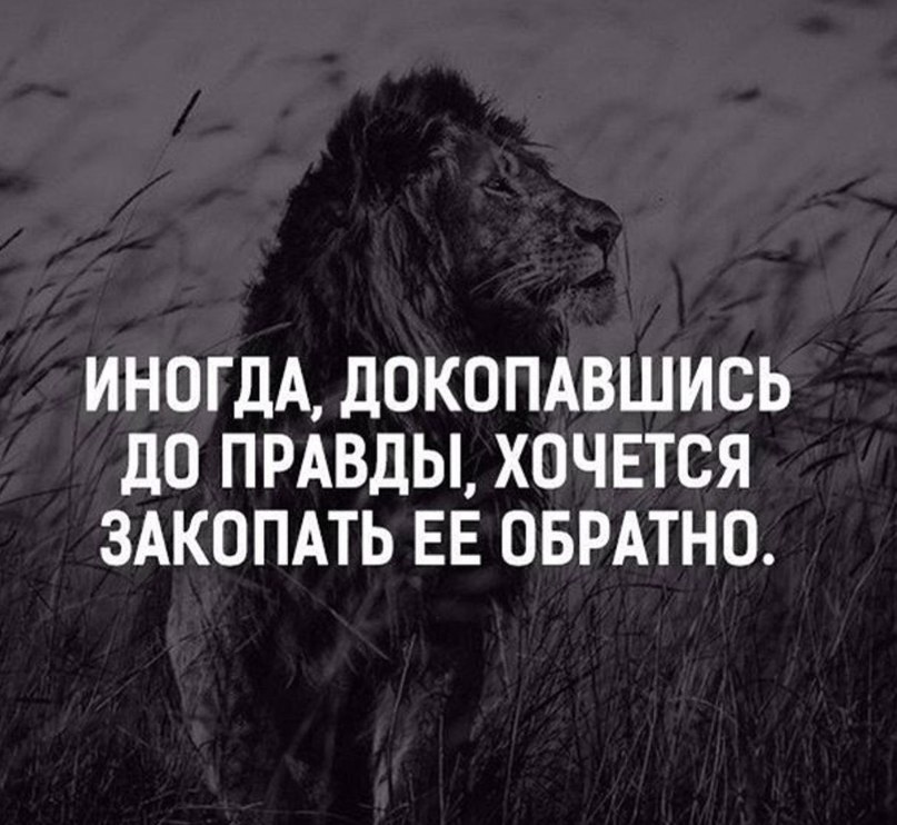   - 3  2016  22:11