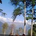 ���� �����, ��������, 62 ���� - ��������� 18 �������� 2016 � ������ �����ջ