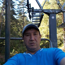 , 52, 