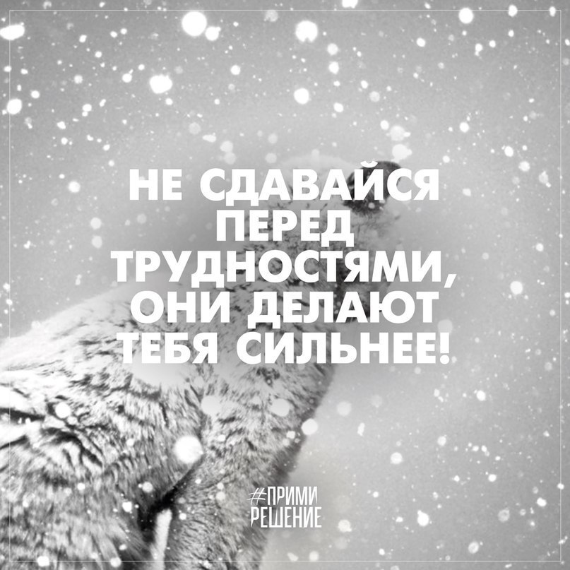  -   - 20  2016  03:59