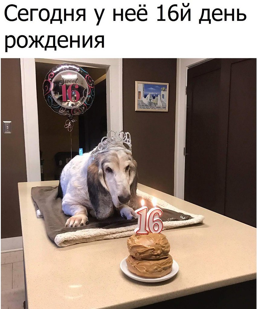   - 30  2017  13:23