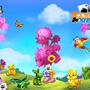  **,  -  13  2017    -