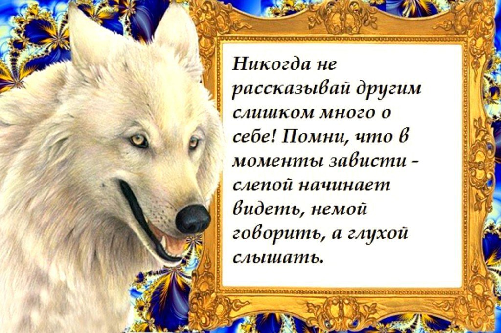    ,  .   ,   !
