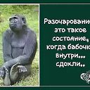 ���� �����, ������, 56 ��� - ��������� 10 �������� 2016 � ������ ���� ����������