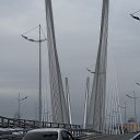 ���� �����, �����������, 44 ���� - ��������� 18 ������ 2016 � ������ ���� ����������