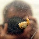 ���� ���������, ������, 71 ��� - ��������� 30 �������� 2016 � ������ ���� ����������