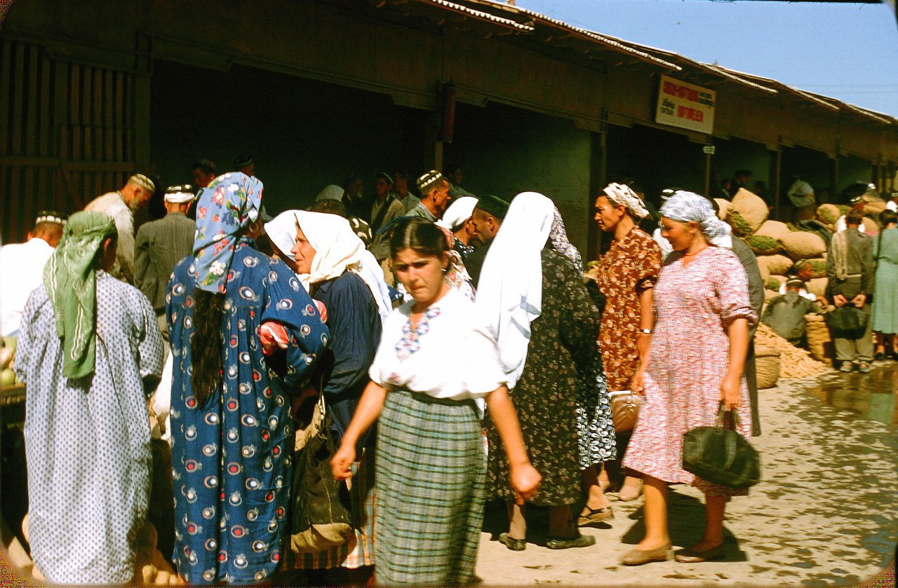  1956 .     . - 41