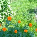 ���� �����, ������ - ��������� 25 ������� 2017 � ������ ���� ������