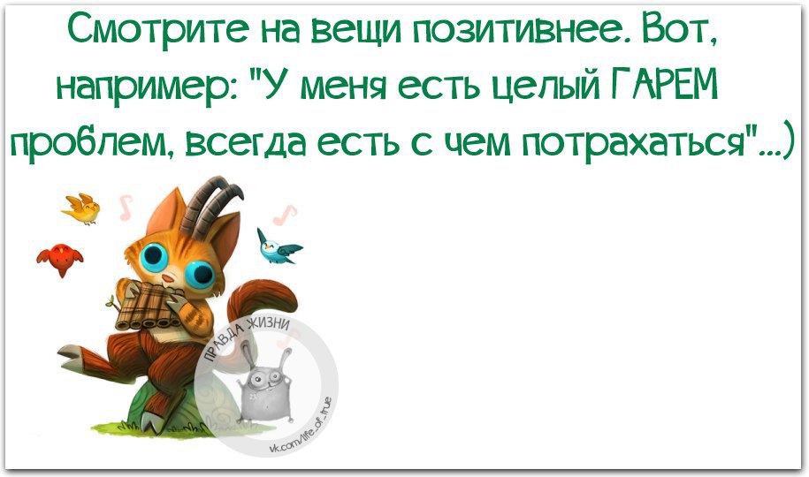   - 10  2016  16:12