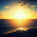 ���� �����, �����-���������, 39 ��� - ��������� 4 ������� 2016 � ������ ���� ����������